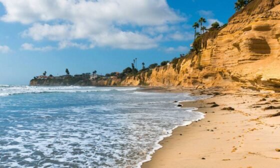 Spring Break Ideas in San Diego: 10 Must-Try Adventures for 2025